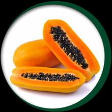 PAPAYA PULP RED