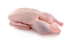 Whole Frozen Halal Duck & Turkey Meat