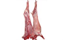  Lamb   Carcass es.  HALAL  available