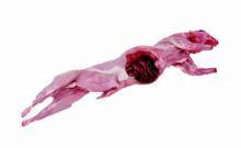 Frozen rabbit meat.