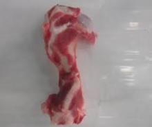 Pork Humerus