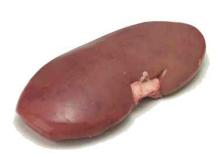 Frozen Pork Kidneys