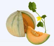 Frozen Delicious  Fruit s (melon, kiwi, peach, apricot and fig)