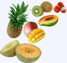 Frozen Tropical Fruits (mango, pineapple, papaya, lychee, avocado and lemon)