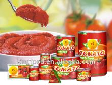 Canned tomato paste in sauce buy tomato sauce