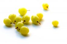 white grape juice concentrate