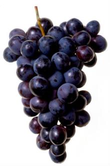 red grape juice concentrate