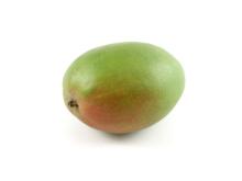 Mango concentrate Tommy Atkins