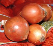 Fresh Yellow Onions