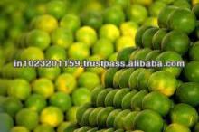 sweet  lime (mousambi or Moushambi/citrusfruit/citrus  lime tte/ Persian   lime , sweet  lime tta, sweet  lime ,