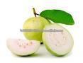  guava   pulp /white guave  pulp /red  guava   pulp  or pink color  guava   pulp 