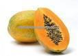 papaya pulp/red papaya pulp/yellow papaya pulp