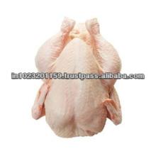 Frozen chicken/frozen halal chicken/ whole frozen chicken/chicken liver/chicken feet