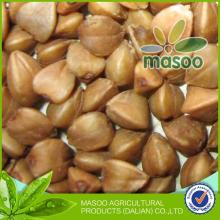 organic buckwheat groats/buckwheat dried