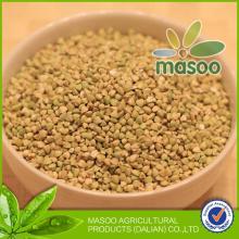 chinese buckwheat groats green buckwheat
