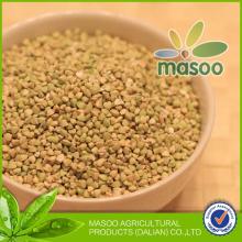 chinese buckwheat groats raw/fresh green buckwheat hot sale