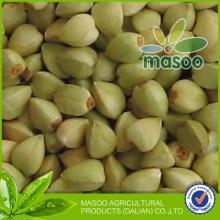 chinese raw green buckwheat hot sale