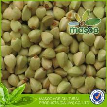 Chinese raw buckwheat of green buckwheat