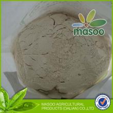 China buckwheat flour
