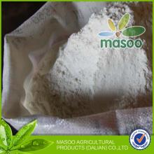 High quality  bulk   flour  and  flour  wholesale for sale