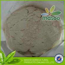 Masoo dark buckwheat flour containers,China flour supplier