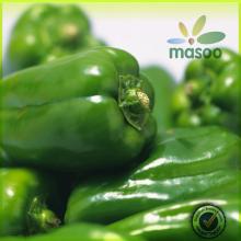Freeze Green Bell High Quality Green Pepper / Pepper