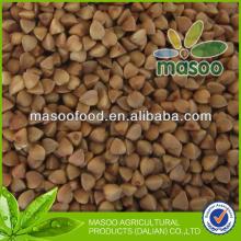 2012 new crop China buckwheat,top quality roasted buckwheat