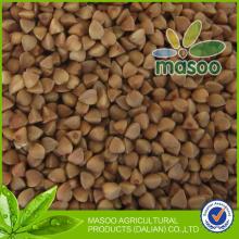 2012 new crop China buckwheat,top quality roasted buckwheat kernel