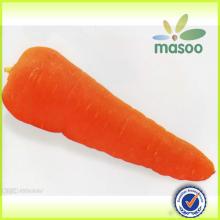 Shandong Fresh Red Carrot,Baby Carrot