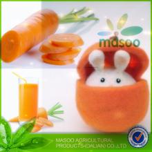 2014 new crop seasonable good tase Local fresh plush carrot /carrot exporter in China