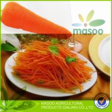 2014 new crop seasonable good tase and appearance Local fresh plush carrot /carrot exporter in China