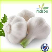 wholesale china natural fresh vegetable pure white garlic,garlic exporter ,garlic price of 2014
