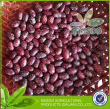 New 2013 Crop Export dry beans - Purple Speckled Kidney Beans