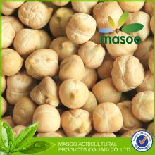 New Crop kabuli Chickpeas 9 mm, 2013 from China