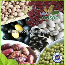 Various  types  of  kidney   beans  from big chinese bean planter at a  kidney   beans  market price