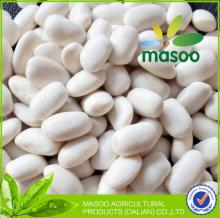 Buy white kidney beans