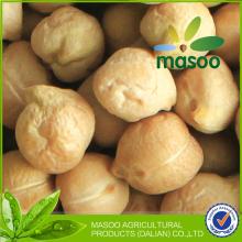 New Crop  Chickpeas  9 mm from China