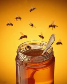 2014 new Fresh pure  organic  flower bee honey , whole sale, reliable supplier