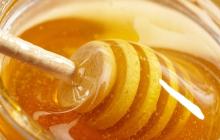 Supply pure and natural honey bee, direct factory, good taste