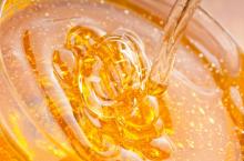 Natural honey for sale/natural forest honey