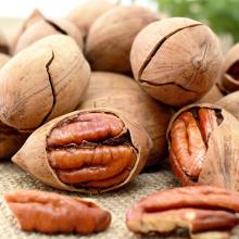 Bulk healthy nutritious raw pecans with high quality, whole sale, good price
