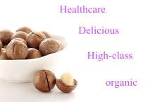 hot sale macadamia nut with ISO, HACCP, healthcare nutritious and tasty raw organic macadamia nuts