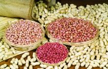 Chinese peanuts for peanut butter and peanut oil
