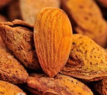 Delicious Almond nuts from China, Xinjiang