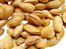 Chinese hot sell Almonds with competitive price