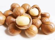 High quality organic macadamia kernel , whole sale, professional supplier