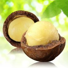 Raw organic macadamia  nuts  in  bulk , with ISO, HACCP, professional supplier