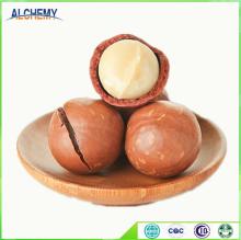 Organic healthy sun dried macadamia nuts with ISO, Kosher, whole sale