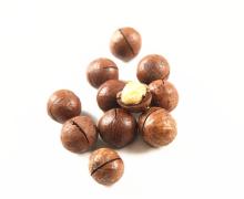 Hot sale macadamia nut with ISO, HACCP, nutritious and tasty raw organic macadamia nuts
