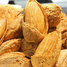 2014 new Almonds nuts in bulk, competitive price